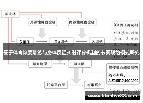 基于体育恢复训练与身体反馈实时评分机制的节奏联动模式研究